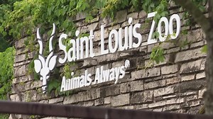Saint Louis Zoo announces summer hours