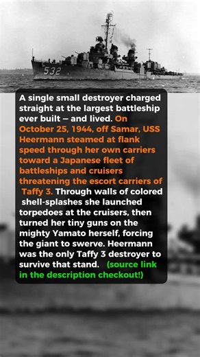 The Tiny Destroyer That Charged A Battleship Fleet #short #history #ww2