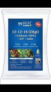 Water Soluble Fertilizer肥精 12-12-18/2➕SOP硫酸钾 ✔️✔️ 20Kg..Bag | Uncle William肥料王子