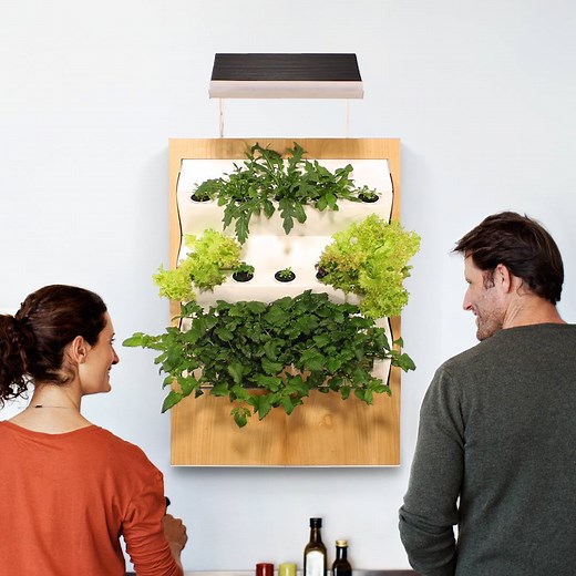 570K views · 1.1K reactions | This indoor vertical farm lets you garden in your tiny apartment!  Learn more here: https://www.ponix-systems.at/en/ | BuzzFeed DIY | Facebook