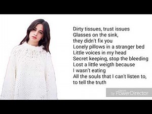 Camila Cabello - Consequences (Lyrics)