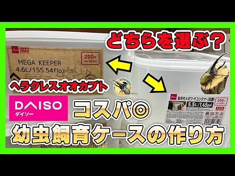 [DAISO] How to make a cheap Hercules beetle larvae rearing case! We'll show you how to make the l...