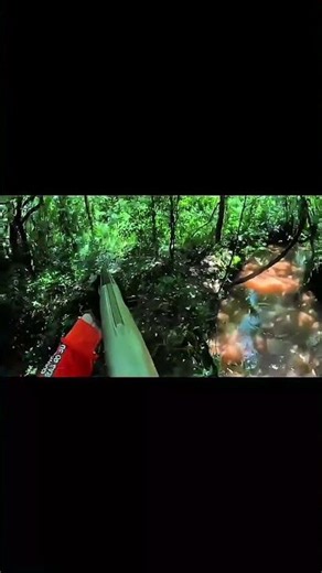 💥👉🥶🏹🐗 Охота на кабана — это настоящее испытание смелости, силы и точности🥶🏹🎯🐗💥👉