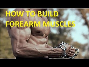 how to build forearm muscle without weights | 10 minute forearm workout