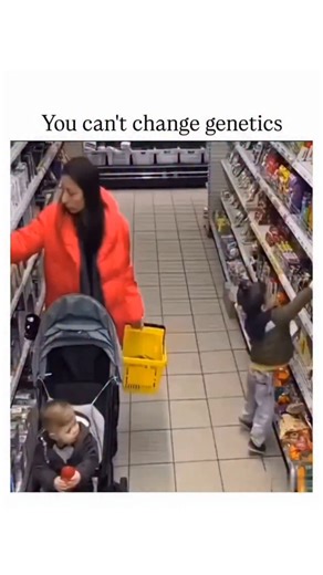 MULTIVRESAL KNOWLEDGE on Instagram: "The Instagram reel shares a 28-second video compilation of supermarket security footage showing parents and young children slipping or falling in aisles, captioned "You can't change genetics #gifs" to humourously suggest clumsiness is hereditary. , an account dedicated to daily memes and viral clips, it has garnered 12,800 views and modest engagement, including replies joking about family "rage" moments and ballistic reactions. Research on motor control, incl