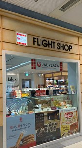 Japan Airlines on Reels