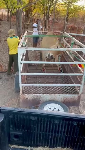 1.9M views · 10K reactions | Ke ha ke sia #fypシ゚ #viralreels | Martin Beats | Facebook