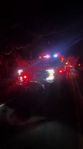 Looks like a nice Brush Truck.