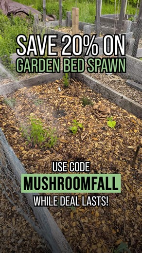 7.8K views | Feel sharper, every day. Support brain and body wellness with 20% off select products from our Lion’s Mane collection. | North Spore | Facebook