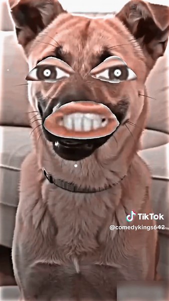 #😂😂😂🤪🤪😜😜😋😛😛😛😛 #comedyclub #funnymeme #comedyreels #trendingvideos #comedyvideos #foryoypage #funny🤣🤣 #funnyvideos
