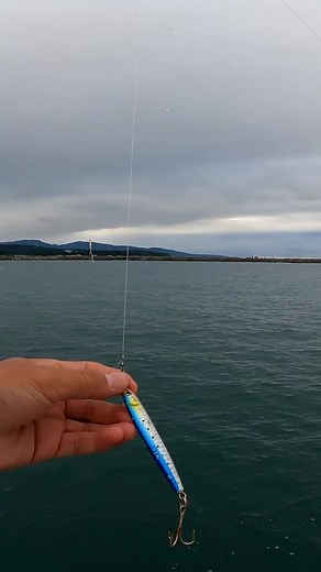 自作パニックジグサビキ #ジグサビキ #サビキ釣り #メタルジグ #アジ