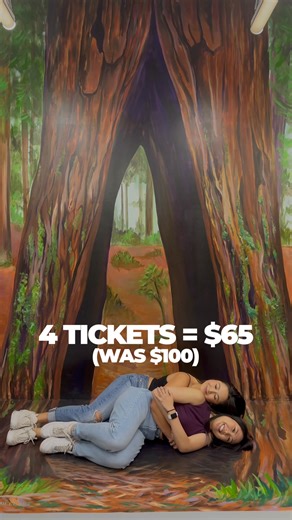 Regular price $100 → now only $65 for 4 tickets! Save $35! That’s less than $17 each to explore the Museum of Illusions. Perfect fall deal for friends and families. Limited-time offer – don’t miss out. | Museum of Illusions