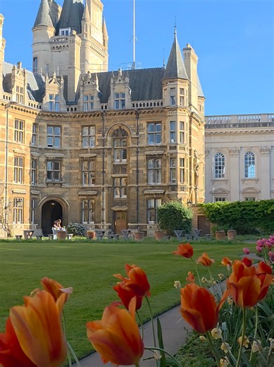 What happened to Tree Court in Cambridge? 🌳 In 2025, all the trees in Tree Court at Gonville & Caius College were removed for safety reasons and due to disease. Tree Court used to be a quiet, green space close to the busy city centre, and many students and alumni remember it that way #university #cambridge