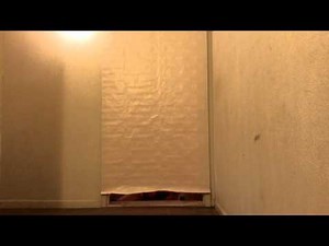 Having Fun With New Neighbors