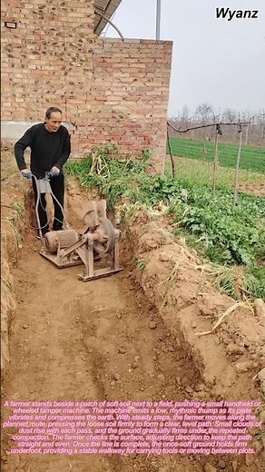 farmer compacting soil path with small tamper machine | daily farm work routine