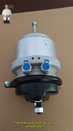 T2024DP Auto Parts Spring Brake Chamber for IVECO TRUCK Heavy Du