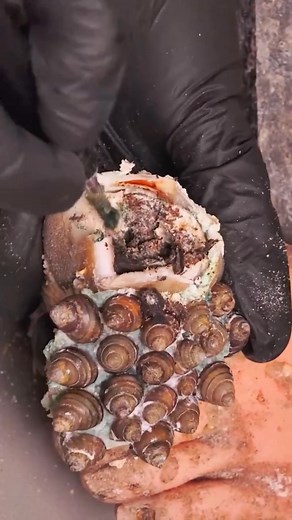 19K views · 37 reactions | ASMR Ear Cleaning | Deep Tingle Experience for | CTH 1 | Facebook