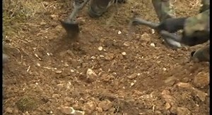 #TrainingTuesday: Soldiers began training exercise #CombinedResolve at JMRC this past week. #WatchNow as Lt. Col. Kevin Ryan, 1-4th Infantry Battalion commander, explains how the exercise improves interoperability between different militaries and makes stronger, more capable forces in #StrongEurope. | U.S. Army Europe and Africa