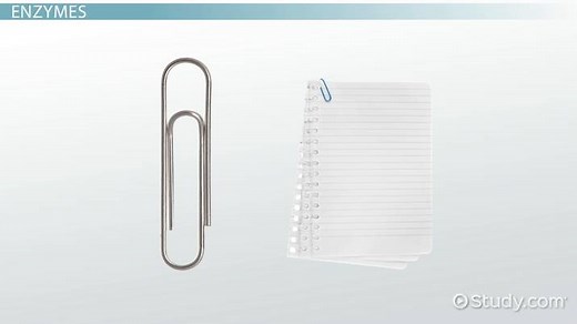 How a Molecule's Biological Function is Related to Shape