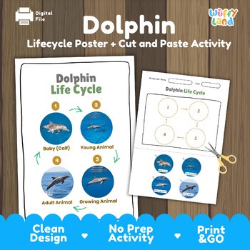 Dolphin Life Cycle Activity | Ocean Mammal Science Cut and Paste Worksheet