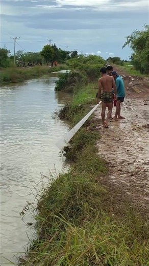 Remove cast net in water #shorts #fishing