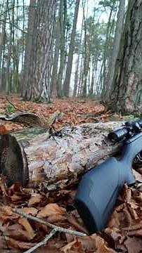 The Crosman Shockwave .177 Air Rifle.