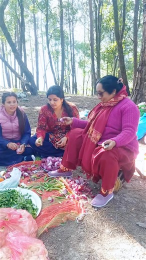 Hamro picnic progaram