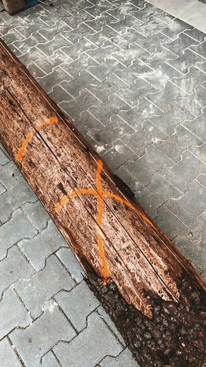 Pure Leidenschaft ❤️‍🔥 #blockbandsäge #sägewerk #schälgerät #forst #forstwirtschaft #forstmaschinen #forstmaschine #holz #baum #motorsäge #kettensäge #beha #logosol #stihl #dolmar #belarustraktor #fichtelgebirge #fichtelmountains #bayern