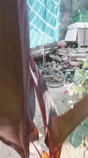 16 फ़रवरी 2026