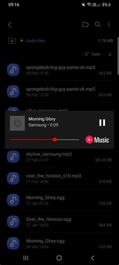 Morning Glory Samsung Galaxy S8,J5 2017,J7 2017,A9 2017,S9,J4,J6,A6 2018,Tab S3-4