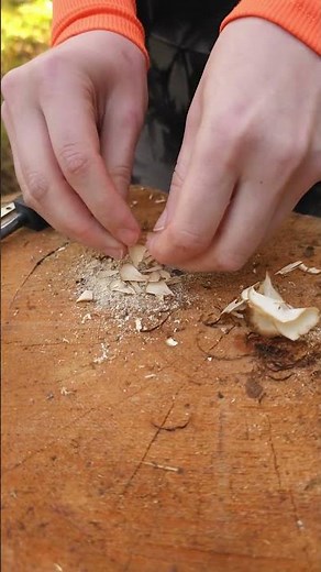 Easy way to make TINDER for a Bonfire 🔥Bushcraft Survival Skills #camping #survival #outdoors