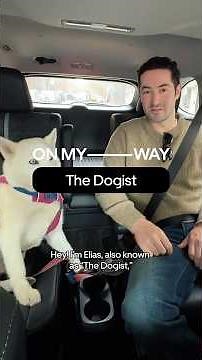 When you’re The Dogist, every day is for dogs 🐶 Join Elias & Elsa otw to uptown in an Uber Pet 🚙