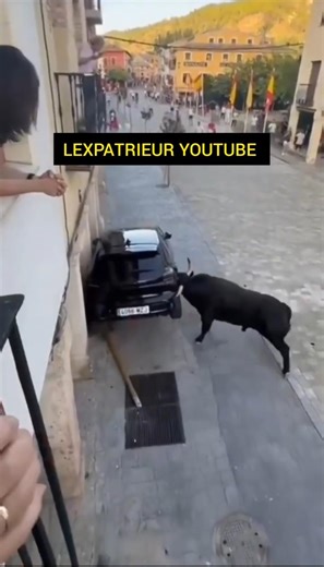 En Espagne jouer avec un taureau ♉ peut très mal finir... ici ce n'est "que matériel"...🙏🏼