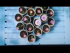 GBH Studios Boston/American Public Television/Create (2021)