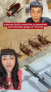 a person built a machine to penetrate and simulate grape of roaches#cockroach #twitter #alltomorrows #drama #chinesegirlinamericanboysbody #fypviralシ #likecommentsharefollowsupport | taoheihei70 USA