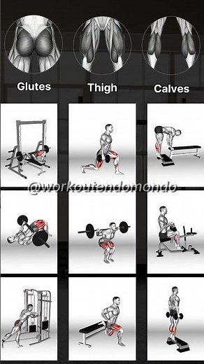 Transform Your Legs with These Full Leg Workouts!