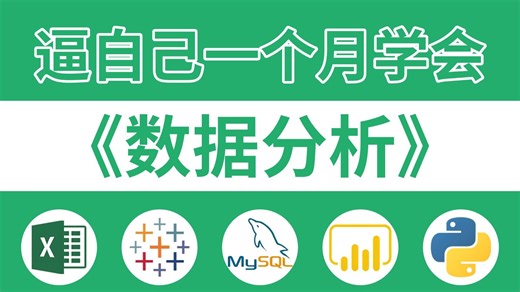 【全79集】逼自己30天学会数据分析、挖掘、清洗、可视化从入门到项目实战（完整版）学会可做项目