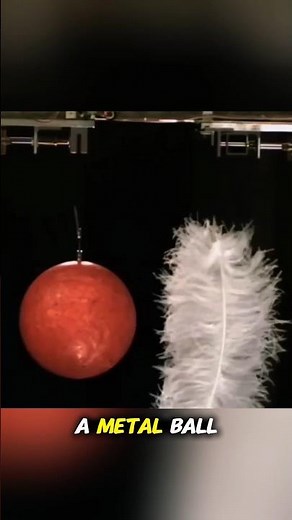 Feather vs Metal Ball — Who Falls First? 🪶⚙️ | Gravity Experiment That Breaks Your Mind