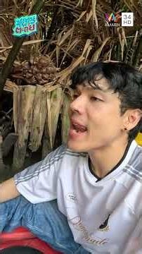 ตาม "คัลแลน-น้องแดน" ไปล่องเรือเก็บลูกจาก ชมวิววิถีชาวบ้าน | ซุป'ตาร์ พาตะลุย