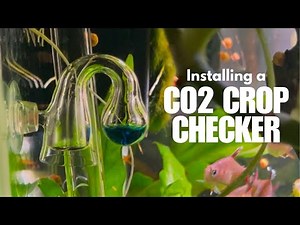 Installing a CO2 Drop Checker