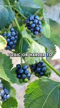 Botany Facts.....#botany #science #facts