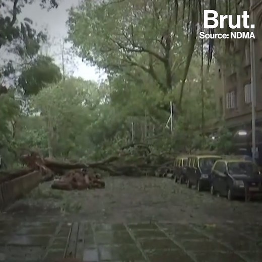 As Cyclone Tauktae makes landfall on India's western coast, here's what to do to stay safe. ⚠️ | Brut India