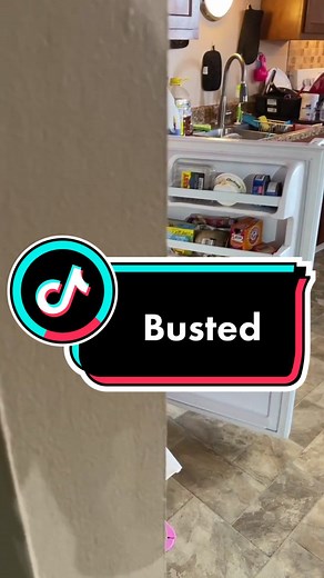 Caught red handed #ConjuringHorror #snackbandits #dadtok #kid #family #dadtok