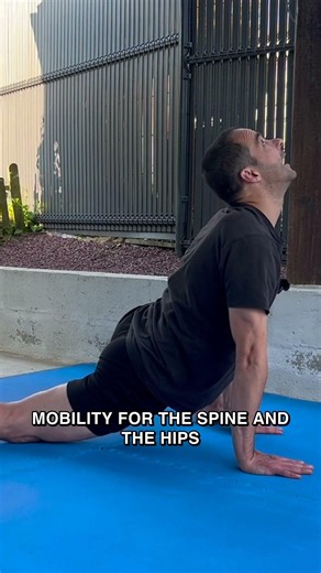 The Deep Lunge Wave: Forehead to the Floor #karate #flexibility #elasticwarrior #kick #mobility