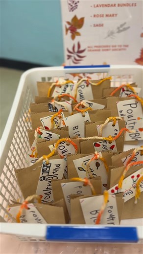 Discovery School on Reels