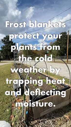26 reactions | Use frost cloth to protect your garden from freezing weather. Lightweight row covers or frost cloth provide an insulating layer that traps ground heat. 1. Drape loosely over plants 2. Secure edges with bricks, boards, or landscape pins 3. Remove during the day so plants can get sunlight | ATL Grow | Facebook