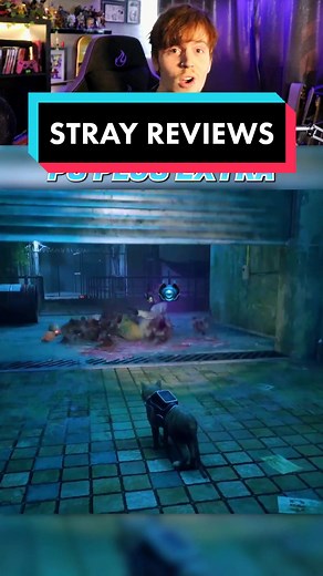 Explore the Buzz: STRAY Game Reviews Are In!