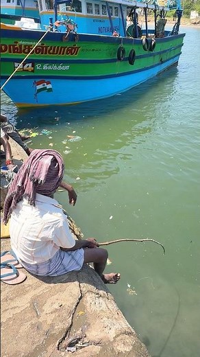 Epic Mullet Fishing with Triple Hook Setup & Bamboo Rod! 🎣 #fishing