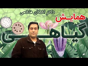 🍃 همایش گیاهی | جمع بندی کامل زیست گیاهی کنکور 🌱