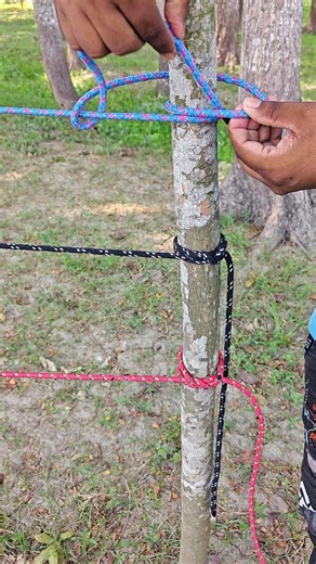 Strong Rope Knot on Tree Easy & Secure ✅💡 #shorts #lifehacks #viral